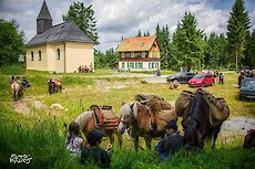 Bayerischer Wald